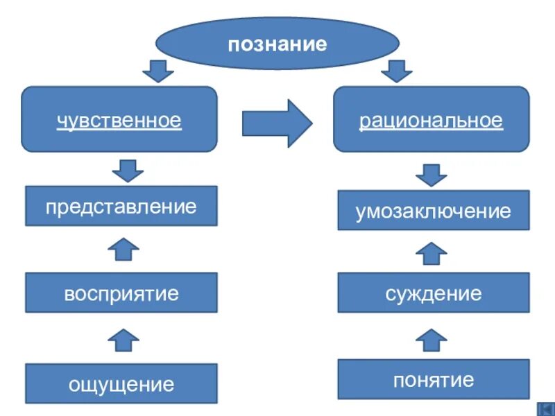 Формы познания ощущение восприятие суждение понятие представление. Понятие ощущение представление умозаключение восприятие. Ощущение умозаключение восприятие представление. Ощущение восприятие суждение понятие представление. Представление понятия суждение о восприятии.