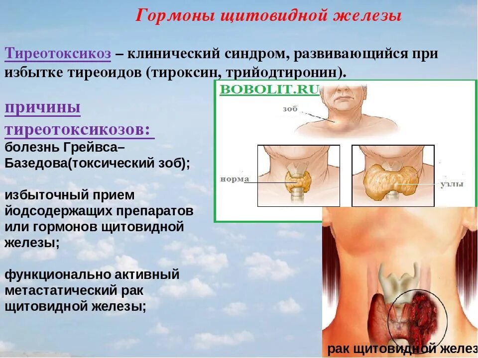 Гормоны щитовидной железы. Влияние гормонов щитовидной железы. Щитовидная железа вырабатывает гормон. Гормоны щитовидной железы патология.