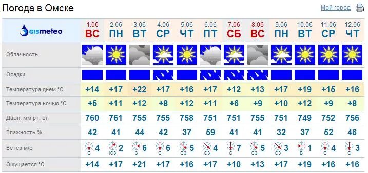 Погода в июне 2024 в новосибирске