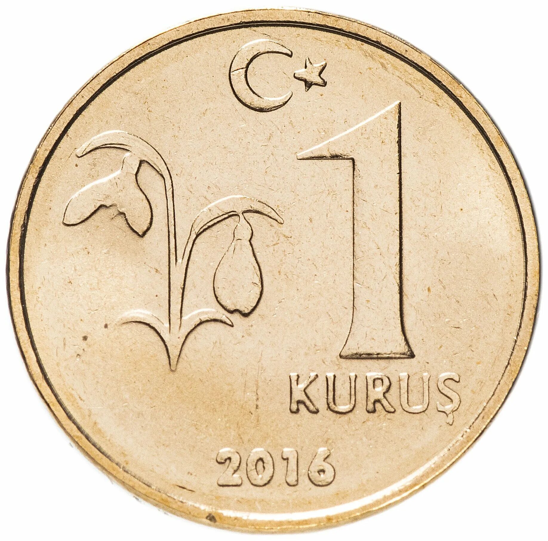 Купить турецкий банк. Монета Турции 1 Курус 2015 года. Монета 1 Куруш. Турецкий Куруш монеты Турции. Куруш монета 1.2 грамма.