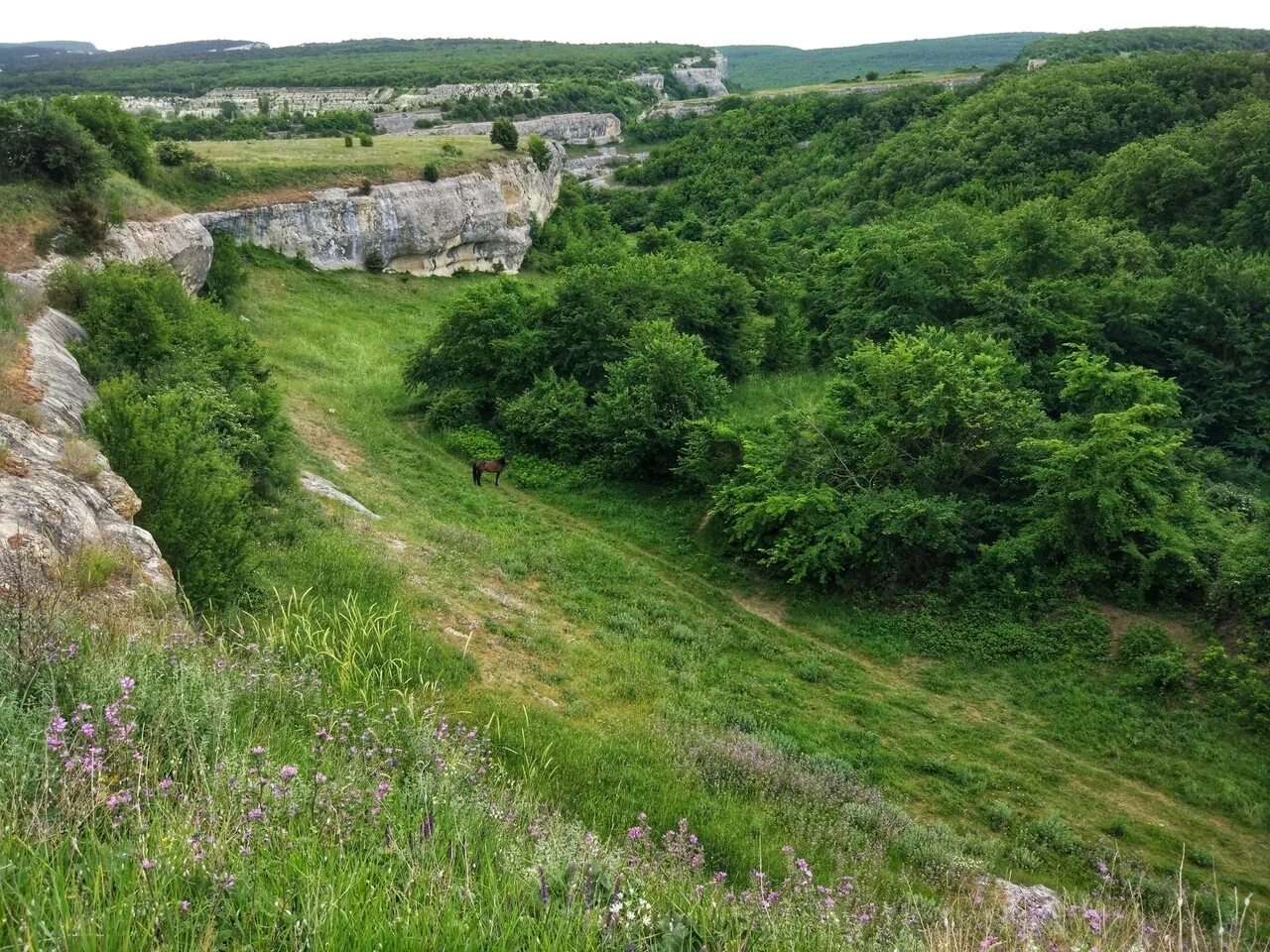 Погода в холмовке бахчисарайского. Холмовка Бахчисарайский район. Село Холмовка Крым. Село Холмовка Бахчисарайский район. Бахчисарай Холмовка.