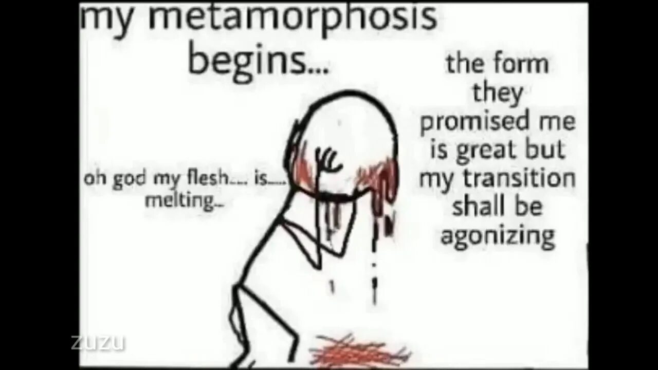 Begging текст. My Metamorphosis begins the form they promised me.