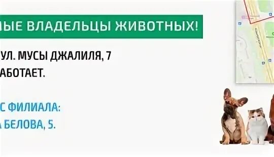 Ветклиники рядом со мной на карте москва. Ветмир отзывы ветеринарная клиника. Скрин места на карте Москва ветеринарная клиника. Ветклиника Беломорская дом 1. Ветклиника на Ходынском бульваре.