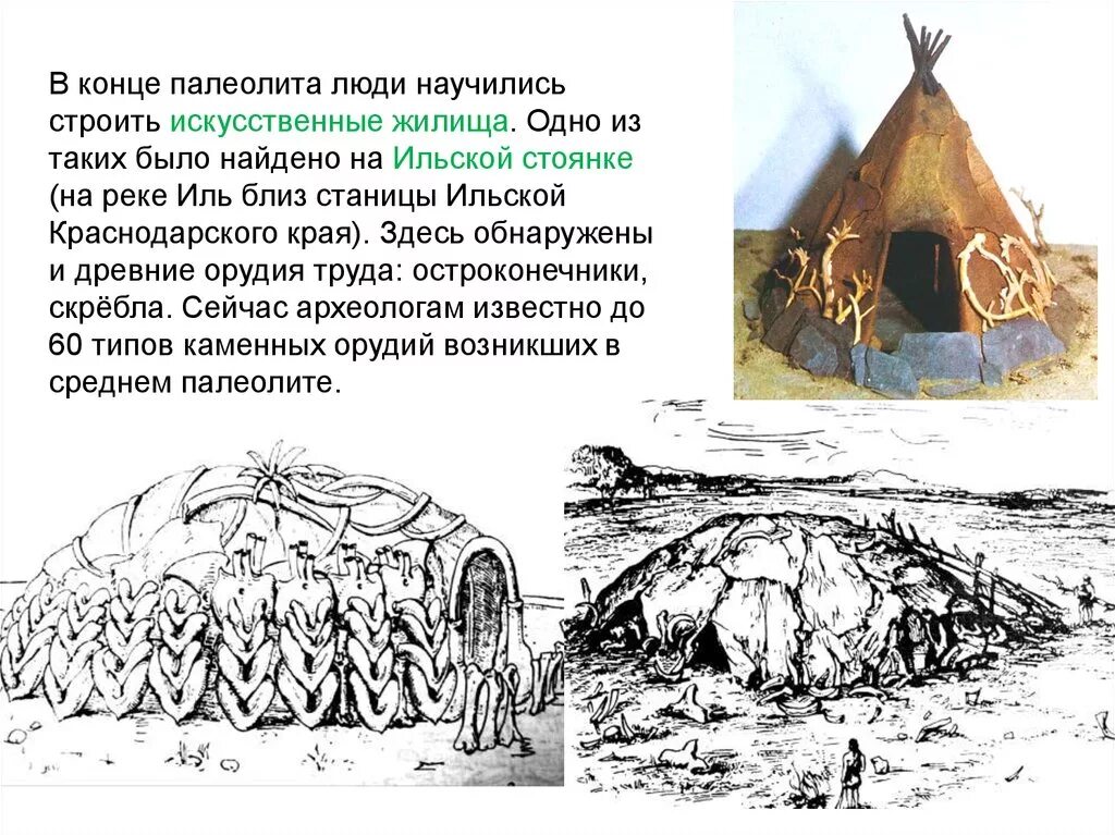 Жилища людей в древности. Жилища каменного века. Жилища эпохи палеолита. Жилища в период среднего палеолита. Полиолит