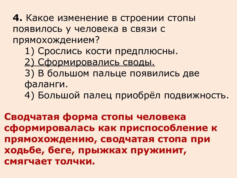 С прямохождением у человека появилась. В связи с прямохождением у человека. Изменение стопы человека в связи с прямохождением. Какое изменение в строении стопы появилось у человека. В связи с прямохождением у человека возникли.