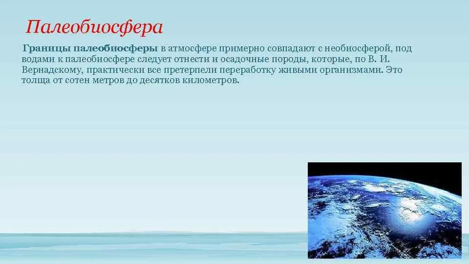 Ведущая роль в биосфере