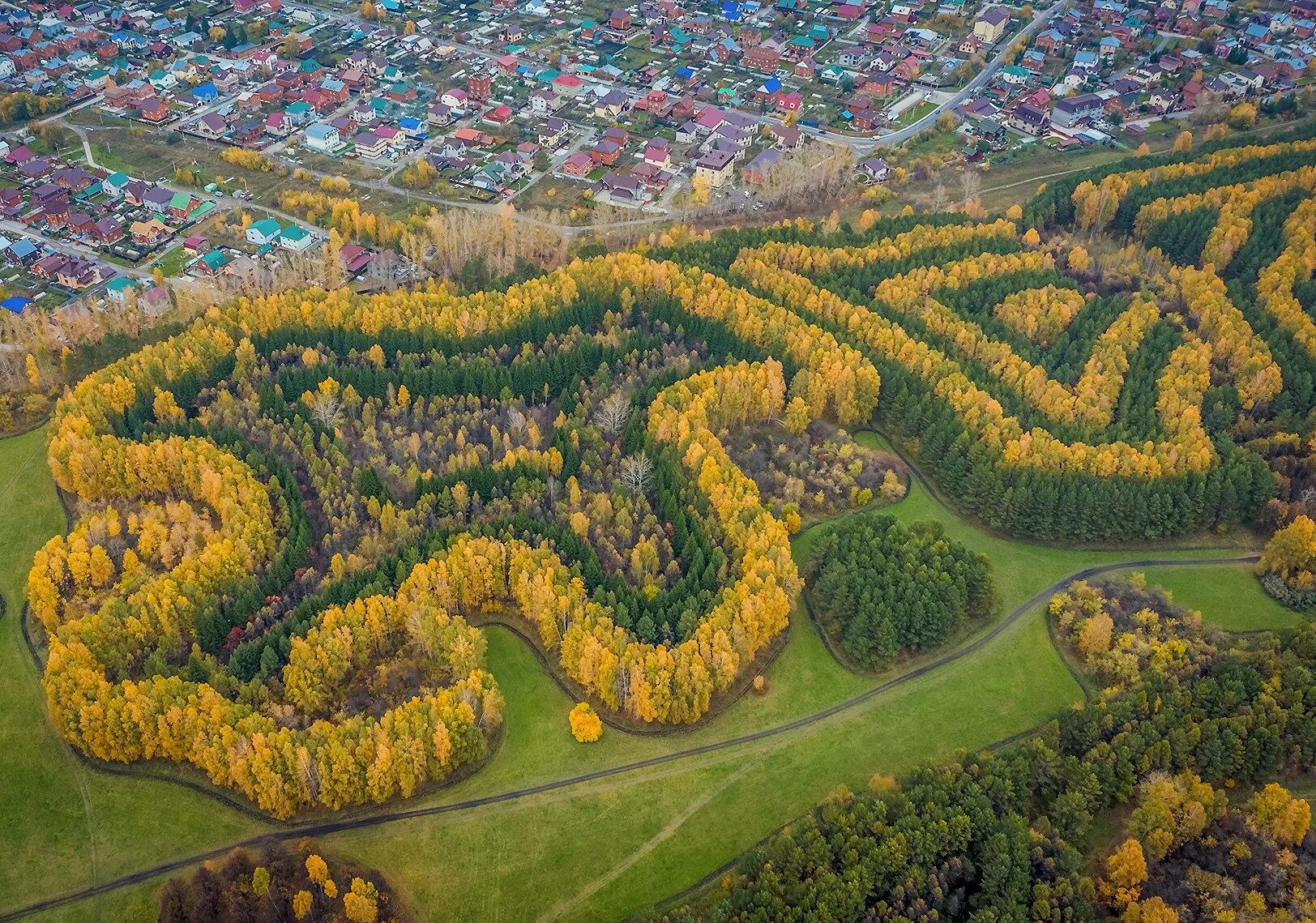 Рисунок с птичьего полета