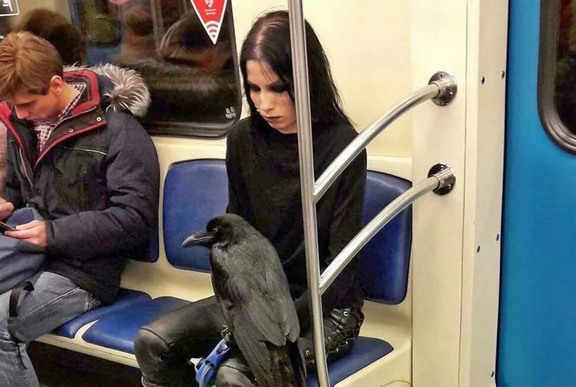 Очень странное поведение. Абсурдная ситуация. Странное поведение людей. Необычное поведение людей. Очень странное поведение.