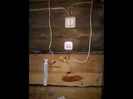 Включение света по времени в курятнике