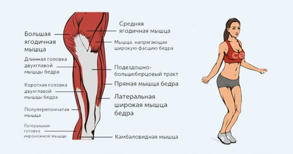 Польза скакалки для мужчин. Прыжки на скакалке какие мышцы работают. Какие мышцы тренирует упражнение прыжки со скакалкой. Группы мышц при прыжках на скакалке. Мышцы задействованные при подпрыгивании.