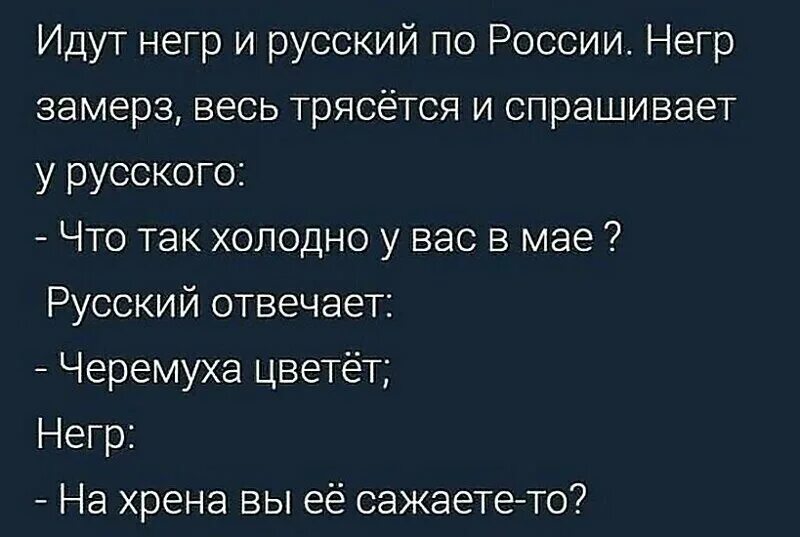 Анекдоты. Анекдот. Анекдот про черемуха цветет. Анекдот про черемуху и холод. Муж попросил негра