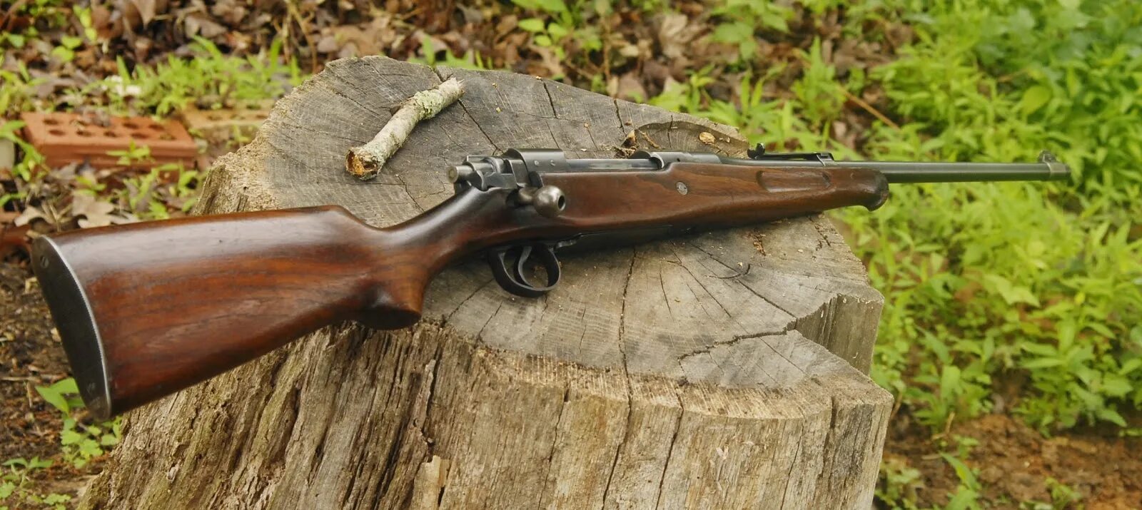 Модель 8 19. Ремингтон 1864. Remington model 30. Ремингтон 700 охотничий. Ремингтон модель 8 карабин.