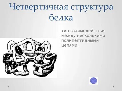 Четвертичная структура белка форма