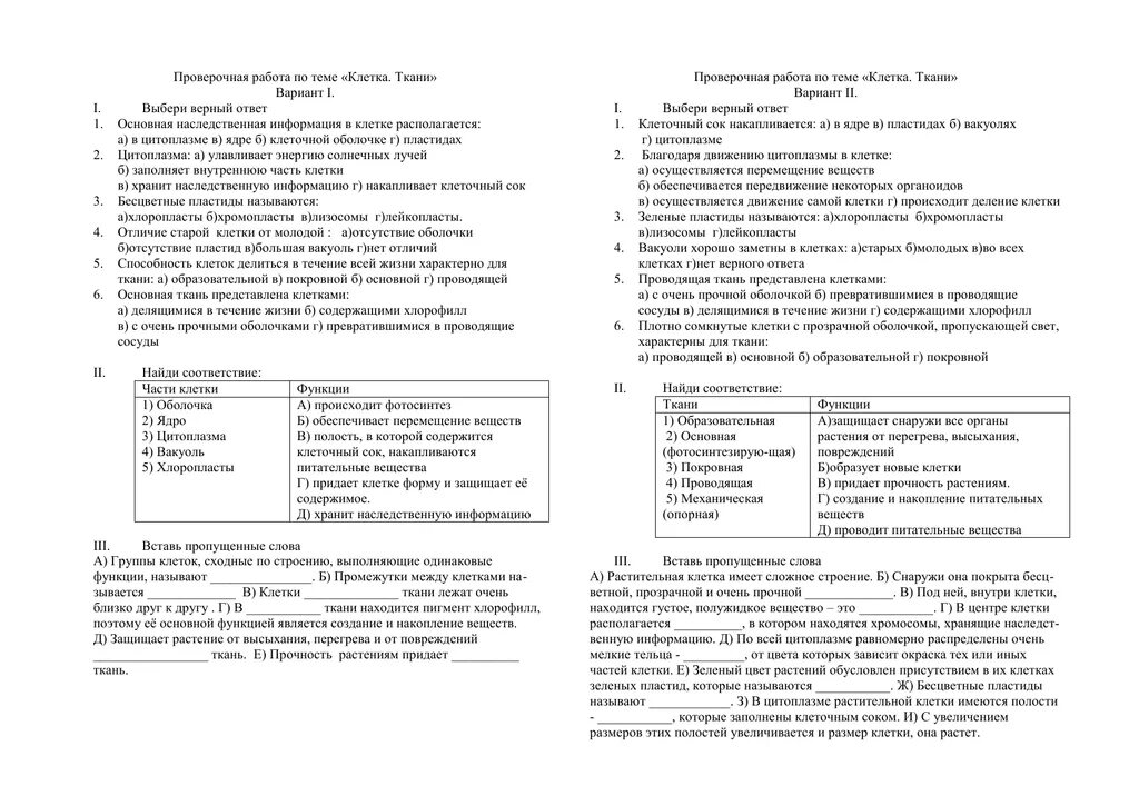 Контрольная по биологии номер 1. Контрольная по биологии 5 класс клетка. Самостоятельная работа по теме клетка. Тест по теме клетка 6 класс. Конрольня работа по биологии6 класс 1вариант.