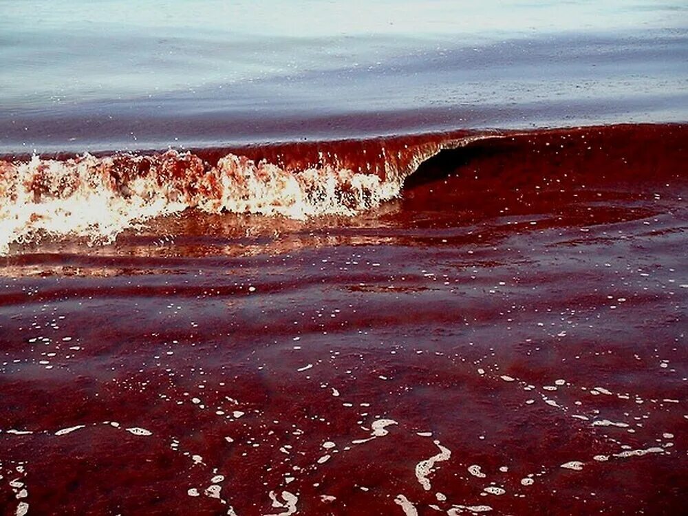 Кровь вода текла. Кровавое озеро (Черский). Красный океан.