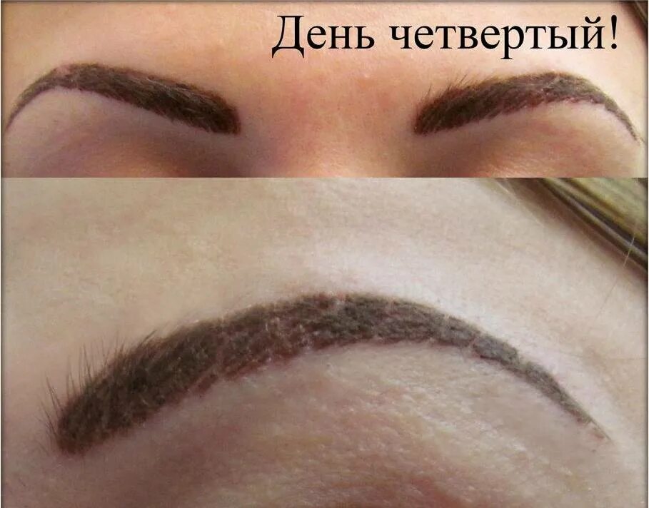 перманент бровей заживление. перманент бровей пудровое заживление. перманентный макияж бровей пудровое напыление заживление. пудровые брови заживление. процесс заживления перманентного макияжа бровей.