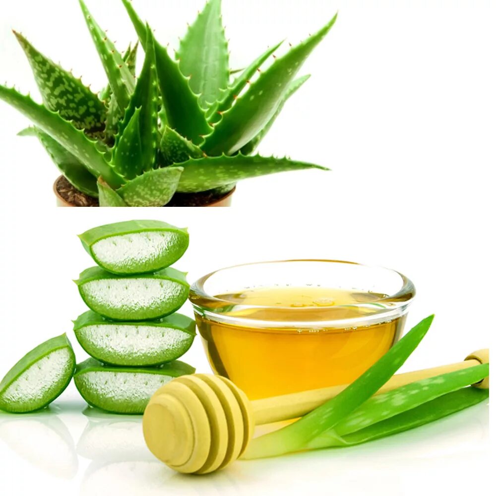 Aloe Vera Oil. Aloe Vera Oil 1l. Huile d Aloe Vera Pure. Масло алоэ для лица.