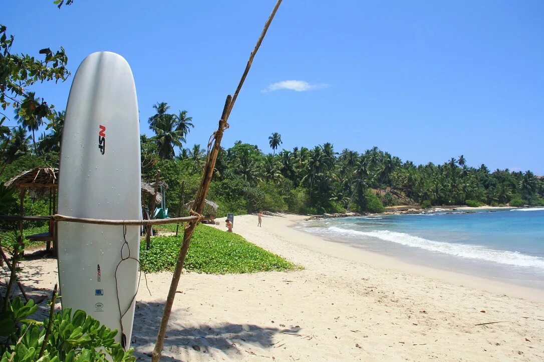 Hiriketiya Beach Шри Ланка. Мидигама пляж Шри-Ланка. Шри Ланка серф. Beach Surf Шри Ланка.