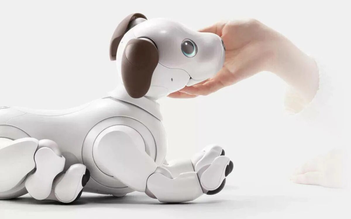 Роботы собаки на открытии игр. Робот собака Aibo. Aibo_Sony ers-1000. Aibo робот-собака от Sony. Робот собака сони Айбо.