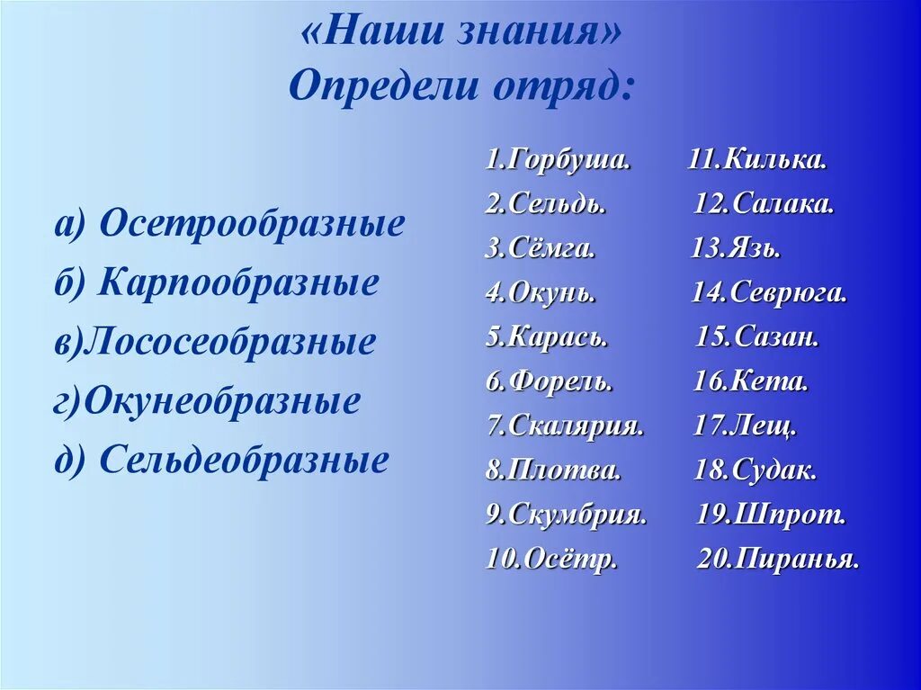 Отряд конкретный