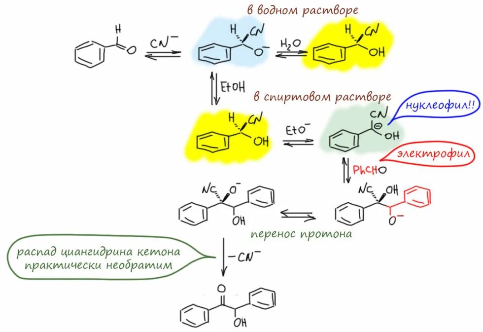 Гидролиз этилата. Нуклеофил. Нуклеофилы и электрофилы. Этилат кальция. Нуклеофильный катализ.
