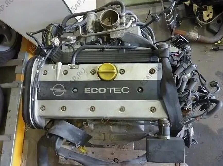 Opel Vectra b 2.0 16v двигатель. Двигатель Опель Вектра x20xev. Опель Вектра б 2.0 16v x20xev. Опель Вектра с мотор 1.8 16. Двигатель 1.8 вектра б