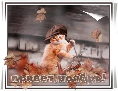 Октябрь ноябрь теплыми