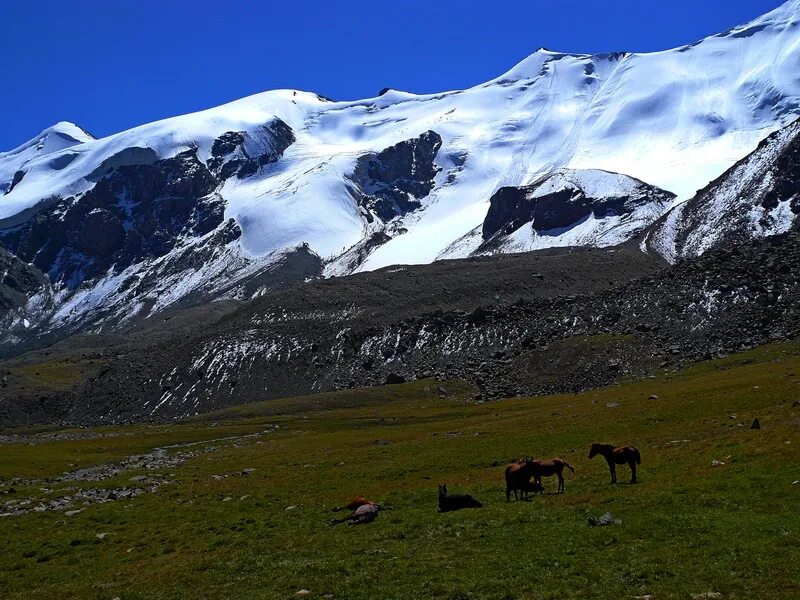 Ала тоо киргизия. Горы терскей ала-тоо. Ала тоо горы кыргызстана. Горы терскей ала-тоо. Ала тоо киргизия.