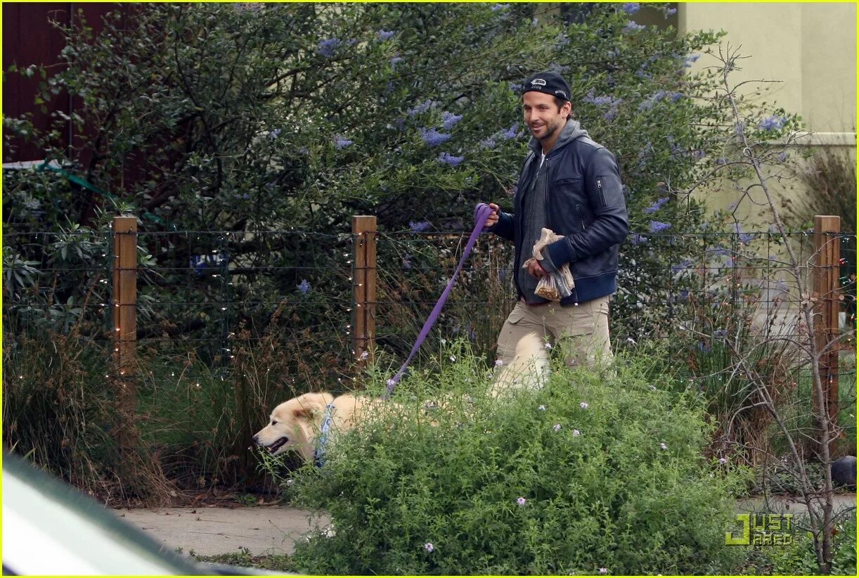 Собака подписывается. Собака Брэдли Купера. Актер и его собака. Том Харди и его собаки.