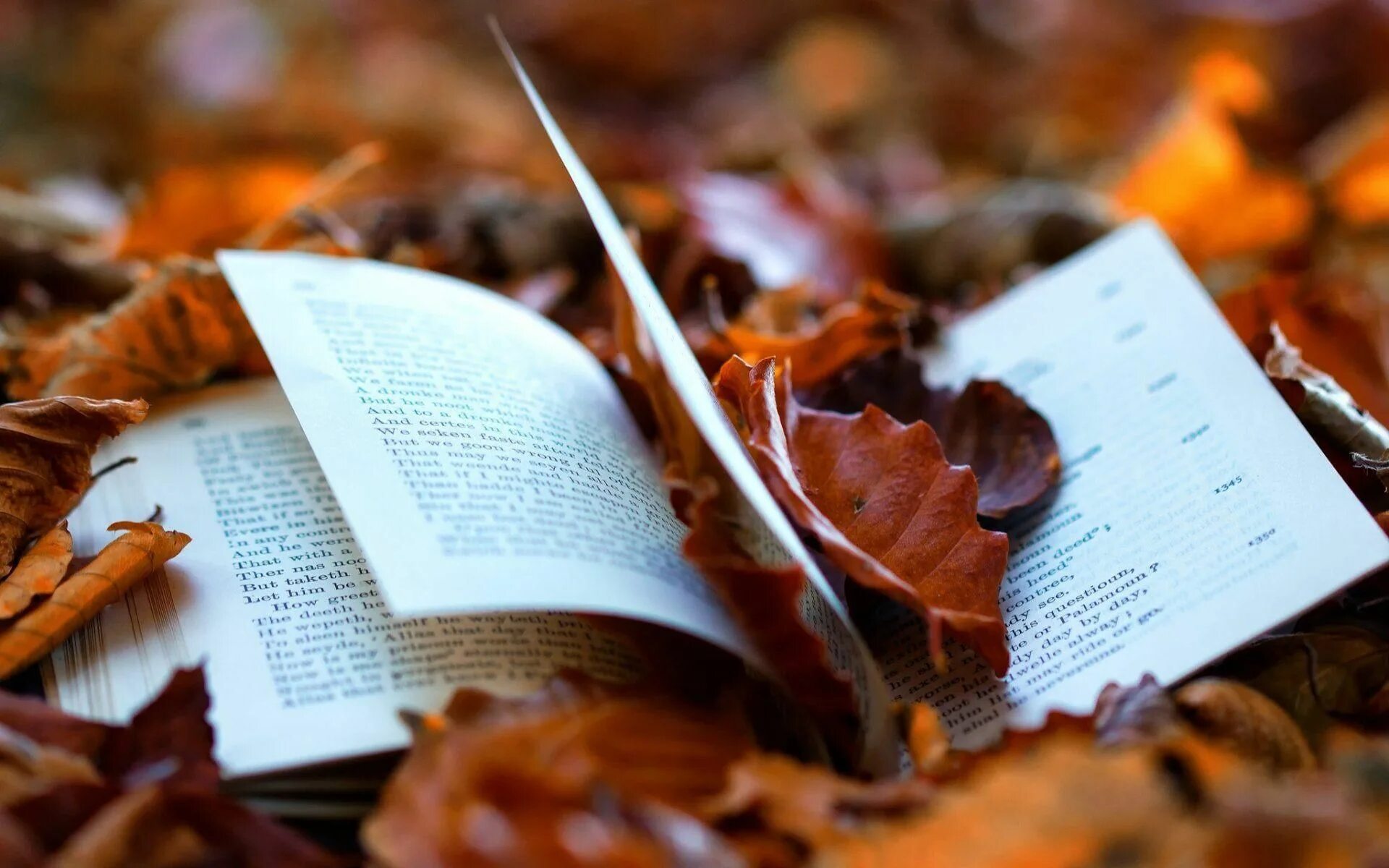 Наполненная поэзией. Книги про осень. Осенняя книга. Осеннее чтение. Книга на фоне осенних листьев.