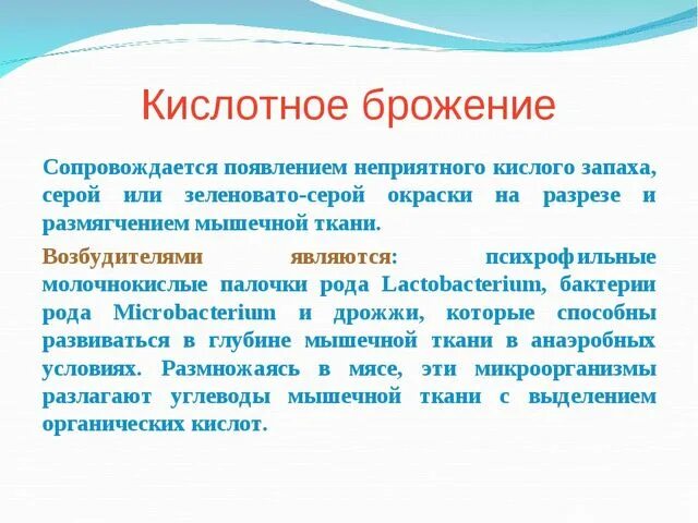 Брожение в кишечнике. Брожение в ЖКТ. Брожение в кишечнике причины. Кислое брожение. Брожение в кишечнике лечение