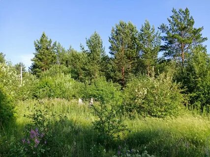 Полевой екатеринбург