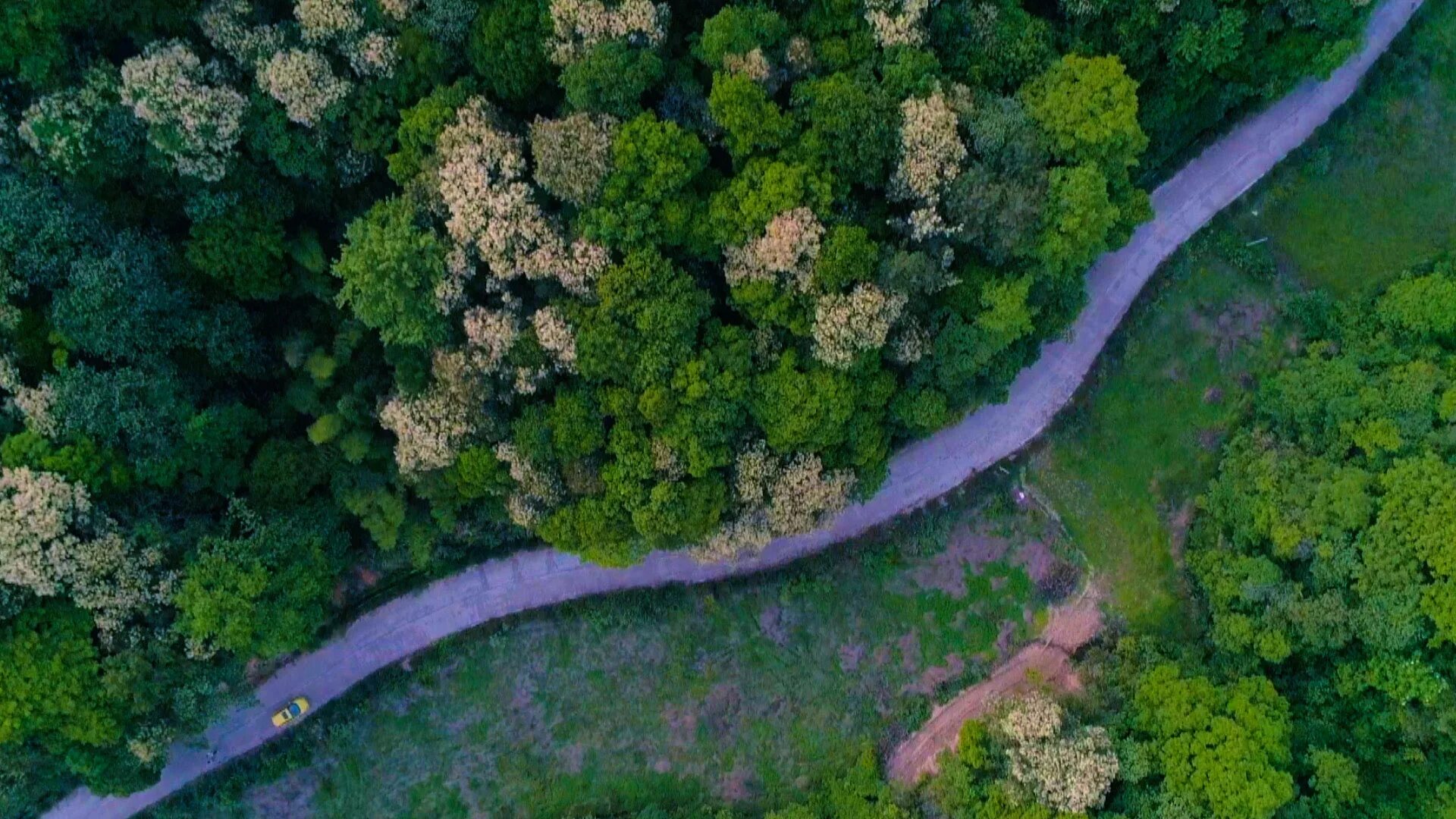Bird s eye view. Bird eye view. рига bird eye view. birdeye обои. pasture bird eye view.