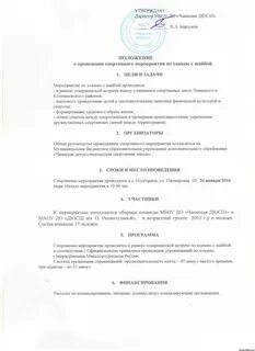 Положение спортивных соревнований это