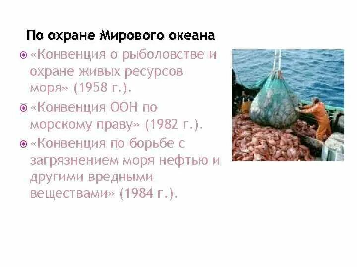 Конвенция о рыболовстве и охране живых ресурсов открытого моря. Конвенция по охране океана. Международно-правовая охрана мирового океана. Международные документы по охране океана. Конвенция о морских перевозках