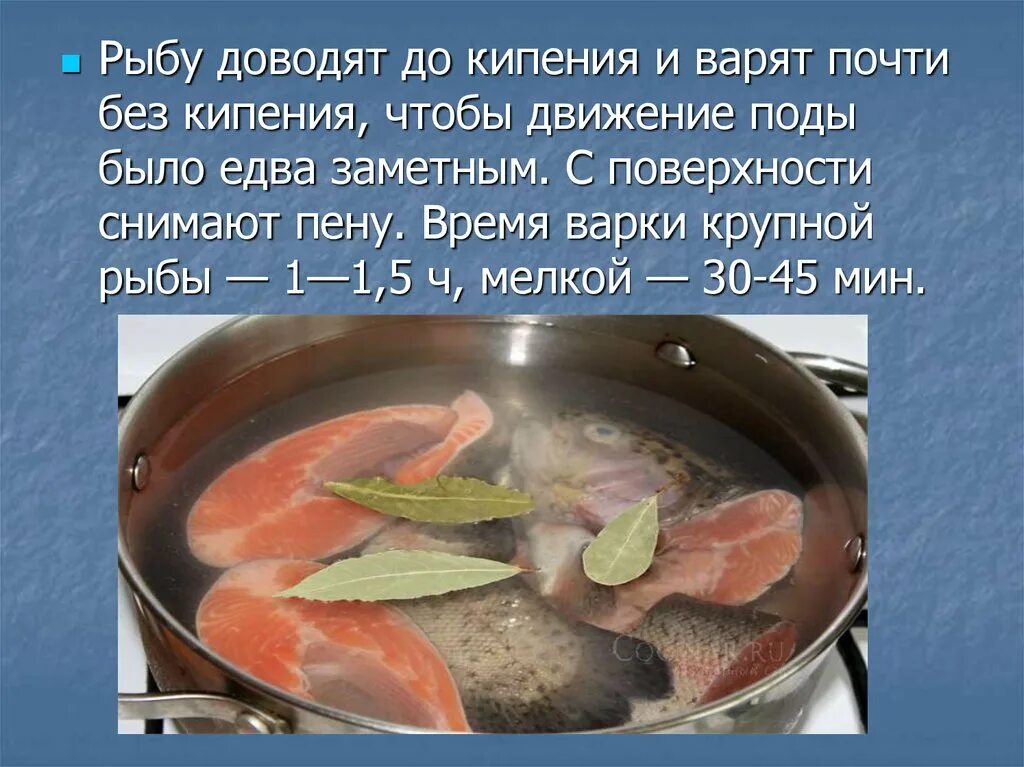 Рыба для варки. Время варки крупной рыбы. Принцип варки рыбных. Куски рыбы доведенные до кипения.