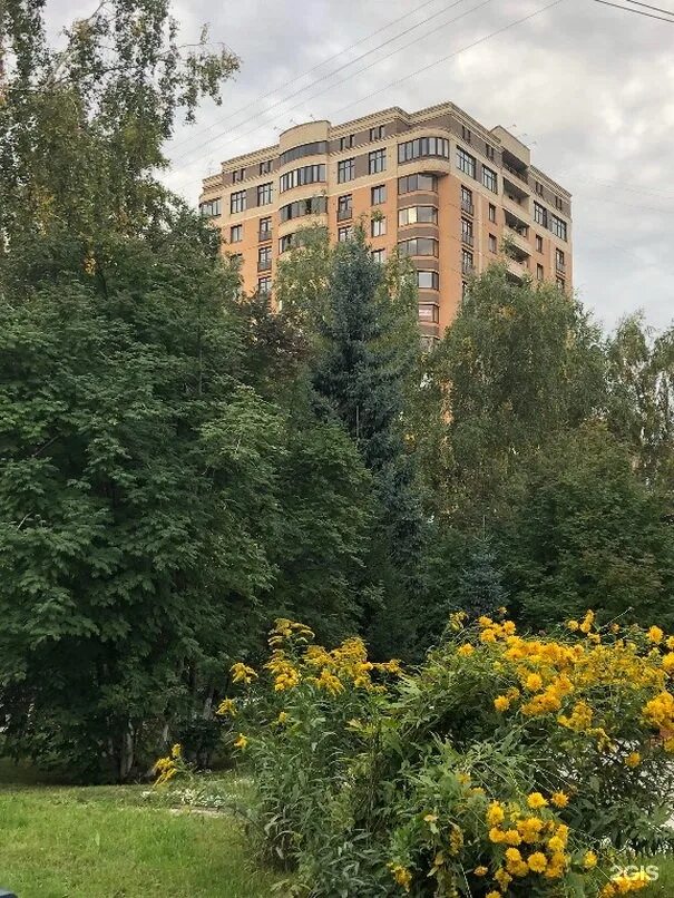 Сибирьинвест новосибирск. Романово 55. Романово 55. Романово 55. Романово 55.