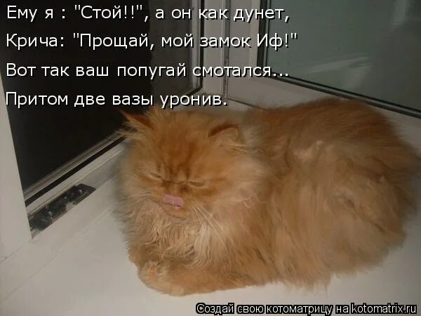 два абсолютно разных человека. открытки о расставании. разлилась по сердцу печаль я навеки твой ты ничья. би2 гдето ангелы кричат. думу думает кот.
