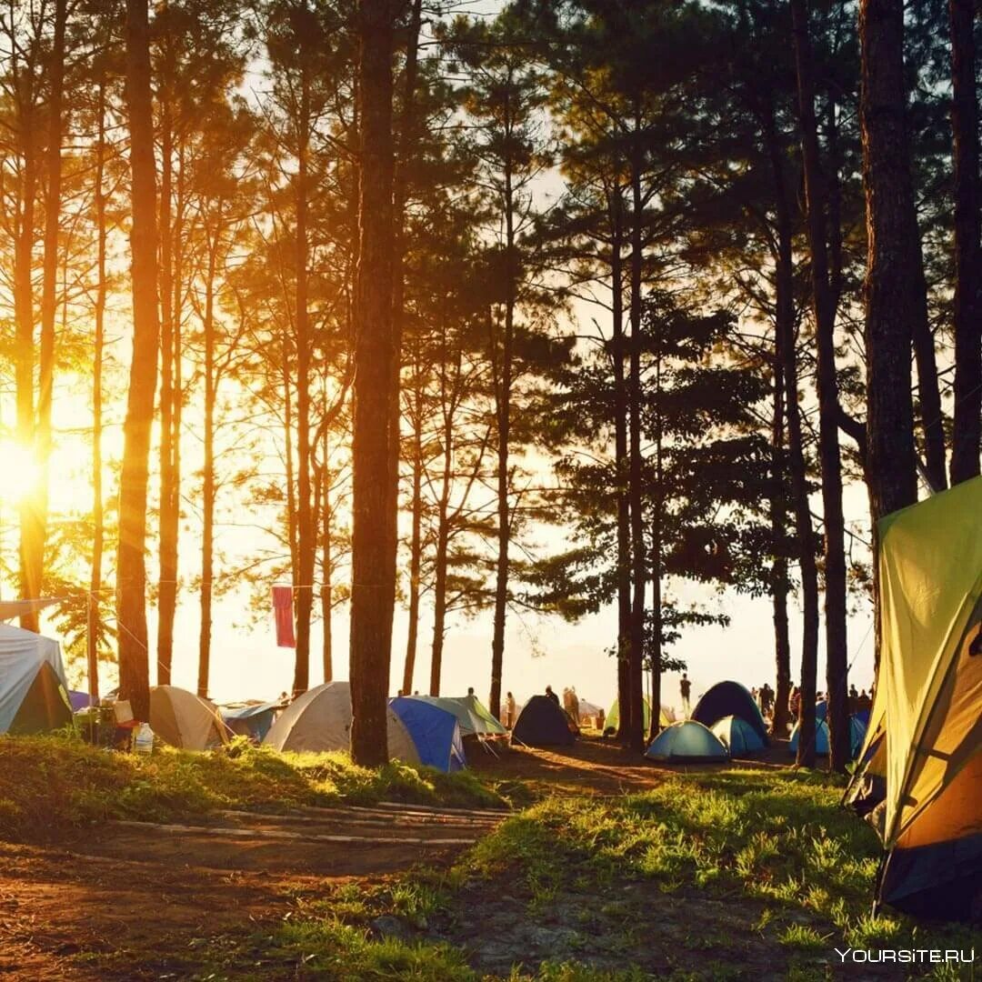 Russian camping. Тургояк озеро палаточный лагерь. Кемпинг Лесная Поляна Тургояк. Палаточный лагерь на озере Тургояк в 2023. Палаточный лагерь озеро Карелия.