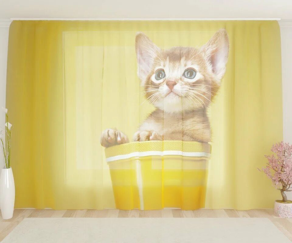 Фотошторы красивый рыжий кот. Рыжий кот на шторе. Рыжая кошка на окне. Кошка на карнизе. Магазин ютубера рыжего кота рыжий кот.