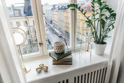 A window has