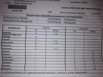 Сколько готовятся результаты мочи