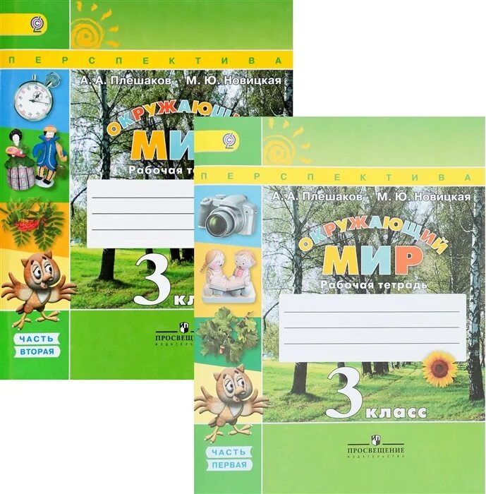 Я. , казаков а. Бином. Дмитриева н. Окружающий мир 3 класс рабочая тетрадь 2 часть плешаков новицкая.