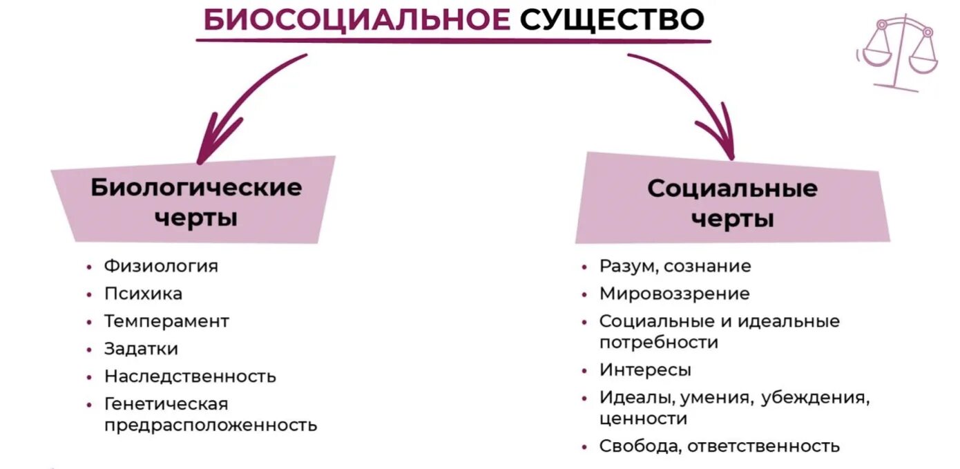 Что означает биосоциальное существо. Биосоциальное существо. Человек биосоциальное существо. Человек биосоциальное существо таблица. Человек биосоциальное существо черты.