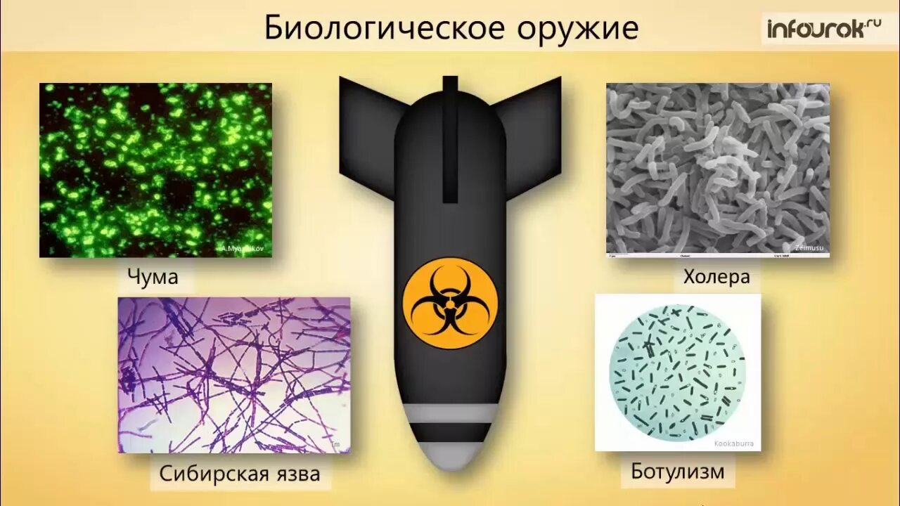 Биологическое оружие. Виды биологического оружия. Бактериологическое (биологическое) оружие. Биологическое оружие бактерии.