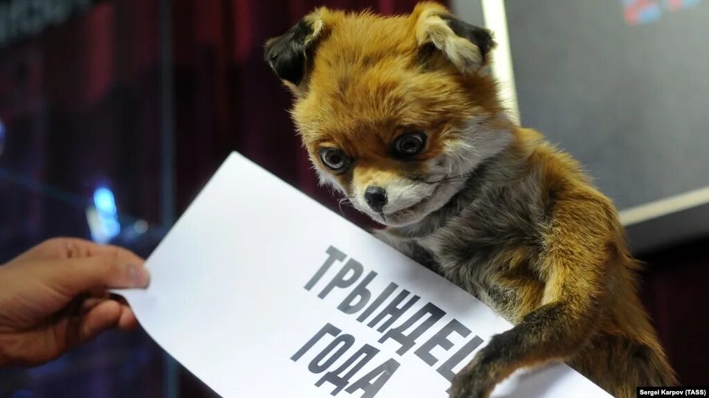 Хитрый лисенок. Мистер лис уэс андерсон. Тот еще лис. Тот еще лис. Ли сяо лиса алиса.