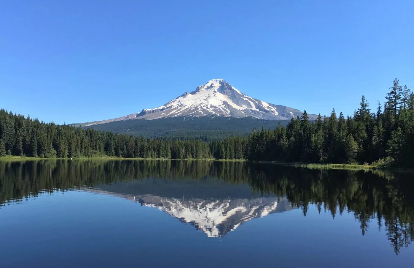 Mount Hood Oregon. Маунт-худ. Маунт-худ горы Орегона. Штат Орегон лес на рабочий стол. Маунт похожий на