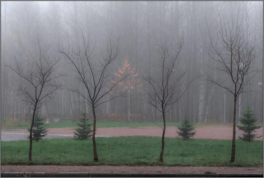 Мелкий дождь. Моросящие осадки. Моросящие осадки. Дождик моросит. Моросящие осадки.