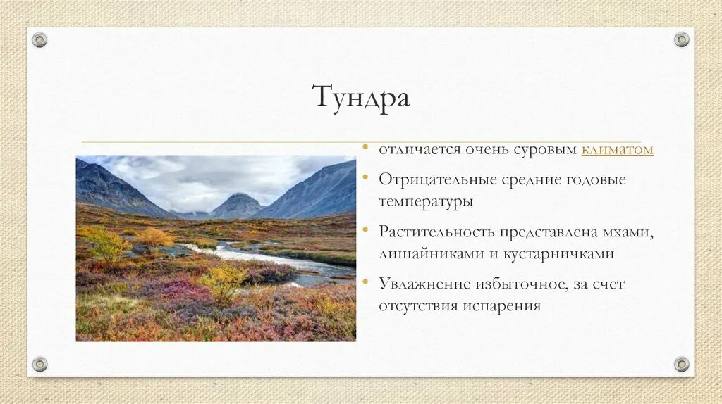 Избыточное увлажнение тундры связано в первую очередь. Климат тундры. избыточное увлажнение тундры. утро в тундре.