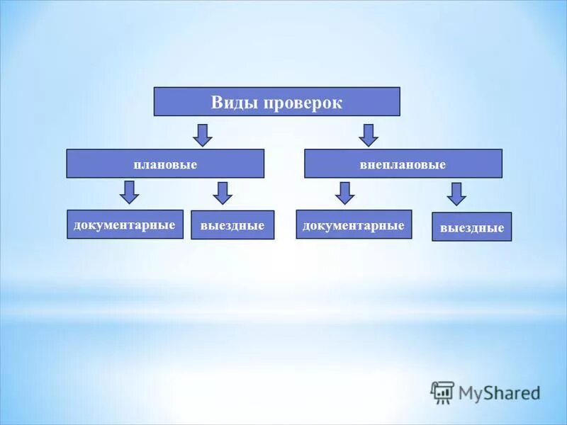 Виды проверенных. Виды проверок. Виды проверок плановые и внеплановые. Виды плановых проверок. Какие виды проверок бывают.